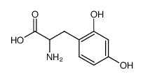 2,4-dihydroxyphenylalanine结构式