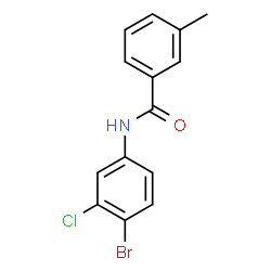 N-(4-Bromo-3-chlorophenyl)-3-methylbenzamide Structure