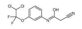 2-cyano-N-[3-(2,2-dichloro-1,1-difluoroethoxy)phenyl]acetamide Structure