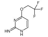 4-(2,2,2-trifluoroethoxy)pyrimidin-2-amine结构式