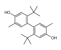 5-tert-butyl-4-(2-tert-butyl-4-hydroxy-5-methylphenyl)-2-methylphenol结构式