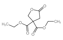 3,3(2H)-Furandicarboxylicacid, dihydro-5-oxo-, 3,3-diethyl ester structure