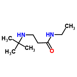 N-Ethyl-N3-(2-methyl-2-propanyl)-β-alaninamide Structure