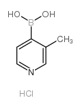 (3-METHYLPYRIDIN-4-YL)BORONIC ACID HYDROCHLORIDE picture