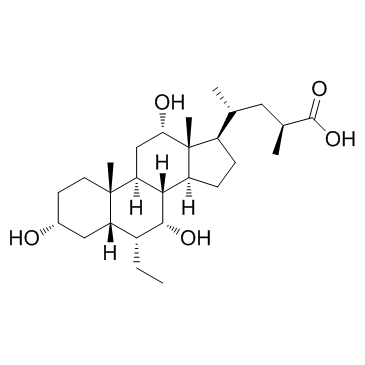 INT-777 Structure