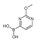 (2-methoxypyrimidin-4-yl)boronic acid结构式