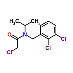 2-Chloro-N-(2,3-dichlorobenzyl)-N-isopropylacetamide结构式