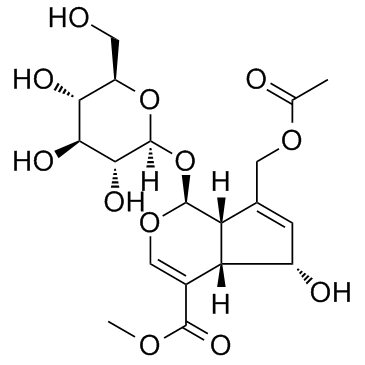 交让木苷图片