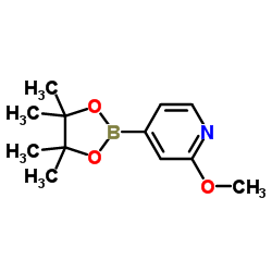 2-(5-(4,4,5,5-四甲基-1,3,2-二噁硼戊环-2-基)-1H-苯并[d]咪唑-1-基)乙醇结构式