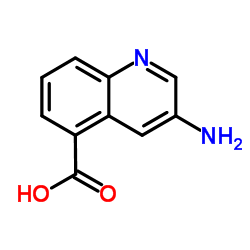 3-aminoquinoline-5-carboxylic acid Structure