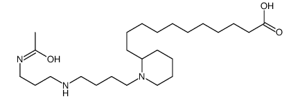11-[1-[4-(3-acetamidopropylamino)butyl]piperidin-2-yl]undecanoic acid Structure