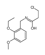 3-chloro-N-[(2-ethoxy-3-methoxyphenyl)methyl]propanamide结构式