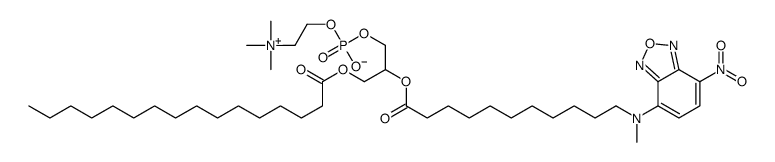 1-palmitoyl-2-(12-((7-nitro-2,1,3-benzoxadiazol-4-yl)amino)dodecanoyl)phosphatidylcholine picture