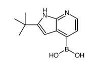 (2-tert-butyl-1H-pyrrolo[2,3-b]pyridin-4-yl)boronic acid Structure
