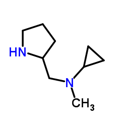 N-Methyl-N-(2-pyrrolidinylmethyl)cyclopropanamine Structure