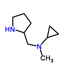 N-Methyl-N-(2-pyrrolidinylmethyl)cyclopropanamine结构式