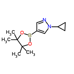 1151802-22-0 structure