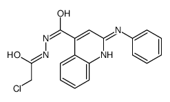 2-anilino-N'-(2-chloroacetyl)quinoline-4-carbohydrazide Structure