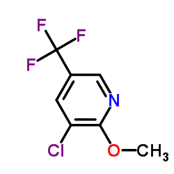 2-甲氧基-3-氯-5-三氟甲基吡啶图片