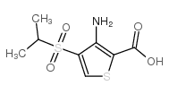 3-AMINO-4-(ISPROPYLSULFONYL)THIOPHENE-2-CARBOXYLIC ACID picture