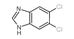 5,6-dichlorobenzimidazole picture