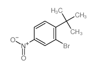2-bromo-1-(tert-butyl)-4-nitrobenzene structure