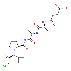succinyl-alanyl-alanyl-prolyl-valine chloromethyl ketone Structure