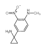 Benzenamine, 4-(1-aminocyclopropyl)-N-methyl-2-nitro- picture