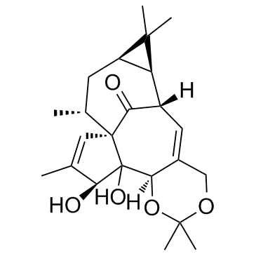 Ingenol-5,20-acetonide picture