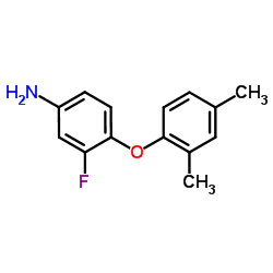 4-(2,4-Dimethylphenoxy)-3-fluoroaniline Structure