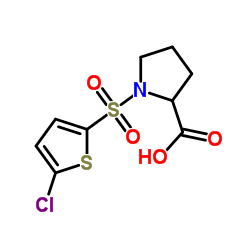 1-[(5-chlorothiophen-2-yl)sulfonyl]pyrrolidine-2-carboxylic acid1-[(5-chlorothiophen-2-yl)sulfonyl]pyrrolidine-2-carboxylic acid structure