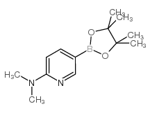 6-(Dimethylamino)pyridine-3-boronic acid pinacol ester picture