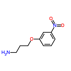 3-(3-Nitrophenoxy)-1-propanamine structure