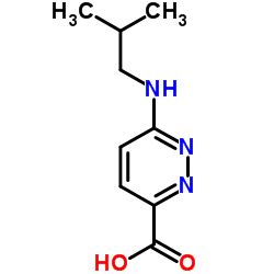 6-(Isobutylamino)-3-pyridazinecarboxylic acid Structure