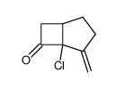 Bicyclo[3.2.0]heptan-6-one,5-chloro-4-methylene-结构式