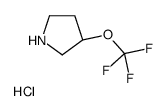 (3R)-3-(Trifluoromethoxy)pyrrolidinium chloride图片