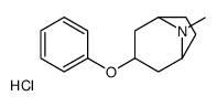 8-methyl-3-phenoxy-8-azabicyclo[3.2.1]octane,hydrochloride结构式