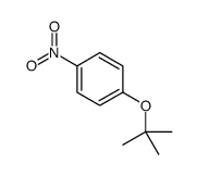 1-叔丁氧基-4-硝基苯图片