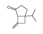 Bicyclo[3.2.0]heptan-2-one, 7-methylene-5-(1-methylethyl)- (9CI) picture