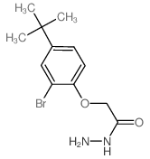 2-[2-BROMO-4-(TERT-BUTYL)PHENOXY]ACETOHYDRAZIDE结构式