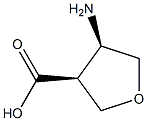 (3S,4R)-4-Aminotetrahydro-3-furancarboxylic acid Structure