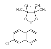 7-Chloroquinoline-4-boronic acid pinacol ester picture