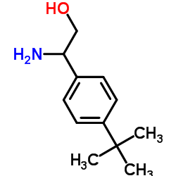2-Amino-2-[4-(2-methyl-2-propanyl)phenyl]ethanol结构式