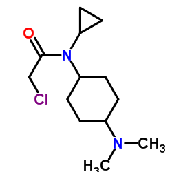 2-Chloro-N-cyclopropyl-N-[4-(dimethylamino)cyclohexyl]acetamide结构式