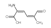 2,4-Hexadienoicacid,2-amino-5-methyl-6-oxo-,(E,Z)-(9CI) Structure