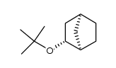 exo-2-tert-butoxybicyclo[2.2.1]heptane结构式