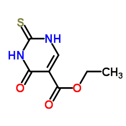 4-氧代-2-硫代-1,2,3,4-四氢嘧啶-5-羧酸乙酯图片