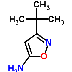 3-Amino-5-tert-butylisoxazole structure