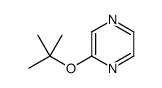 2-[(2-methylpropan-2-yl)oxy]pyrazine结构式