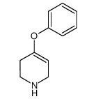 4-phenoxy-1,2,3,6-tetrahydro-pyridine结构式